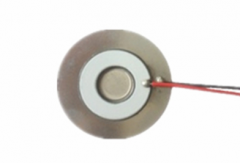 雾化片 JHIC25NH003-P